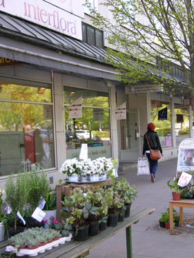 Hässleholmsbutiken